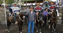 Casas de Adobe estará en los Clasificatorios con las yeguas Orieta y Oratoria Casas de Adobe estará en los Clasificatorios con las yeguas Orieta y Oratoria