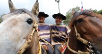 Peleco se llevó la Serie Caballos en Pelé y Multicampeón Peleco se llevó la Serie Caballos en Pelé y Multicampeón
