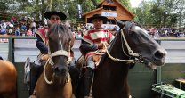 Criadero Vacamalal enrieló una difícil temporada tras clasificar en la Serie de Caballos Criadero Vacamalal enrieló una difícil temporada tras clasificar en la Serie de Caballos