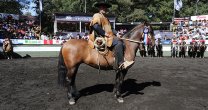 Ruca Diuca Engreída fue Sello de Raza del Clasificatorio Sur Pucón 2019 Ruca Diuca Engreída fue Sello de Raza del Clasificatorio Sur Pucón 2019