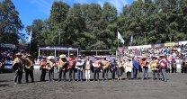 La Zona Sur hizo emotivos homenajes en Pucón