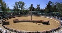 Delegado en San Fernando: Los huasos que llegan a los Clasificatorios son bastante respetuosos Delegado en San Fernando: Los huasos que llegan a los Clasificatorios son bastante respetuosos