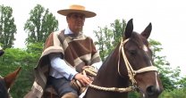 Recomendaciones para el arreglo del caballo chileno de José Manuel Pozo