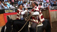 Talca fue la asociación con más colleras premiadas en el Clasificatorio Centro Talca fue la asociación con más colleras premiadas en el Clasificatorio Centro