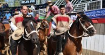 Doña Dominga se impulsó con una carrera perfecta para completar su tarea Doña Dominga se impulsó con una carrera perfecta para completar su tarea