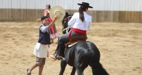 Las Amazonas de la Tradición Chilena deleitaron en San Fernando
