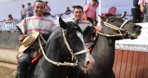 Venenciano y Lemus van a la Monumental: Es un sueño que cumplimos y ahora lo vamos a celebrar Venenciano y Lemus van a la Monumental: Es un sueño que cumplimos y ahora lo vamos a celebrar