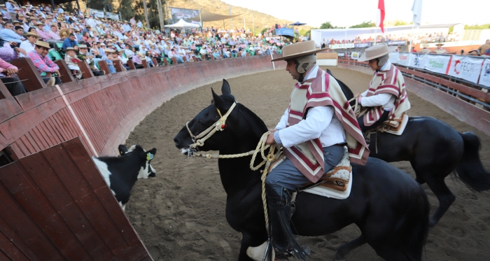 Pablo Pino fue el jinete más atajador de la final del Clasificatorio de Batuco