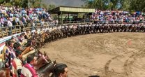Final Nacional del Rodeo Campesino recibirá a 142 colleras en Santa María