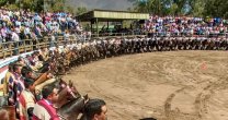 Final Nacional del Rodeo Campesino recibirá a 142 colleras en Santa María Final Nacional del Rodeo Campesino recibirá a 142 colleras en Santa María