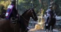 Pemuco espera con gran ambiente corralero el Repechaje Centro Sur Pemuco espera con gran ambiente corralero el Repechaje Centro Sur