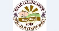 Marcelo Cáceres, presidente de Cardenal Caro: “Esperamos con ansias nuestro gran evento” Marcelo Cáceres, presidente de Cardenal Caro: “Esperamos con ansias nuestro gran evento”