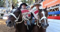 Santa Elba puso su segunda collera en Rancagua Santa Elba puso su segunda collera en Rancagua