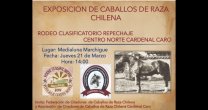 Una atractiva Exposición tendrá Cardenal Caro en el Clasificatorio de Marchigüe Una atractiva Exposición tendrá Cardenal Caro en el Clasificatorio de Marchigüe