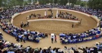 Los datos que debes saber para el Clasificatorio Repechaje Centro-Norte de Marchigüe Los datos que debes saber para el Clasificatorio Repechaje Centro-Norte de Marchigüe
