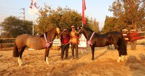 Con 50 caballos en pista se efectuó la Expo Marchigüe