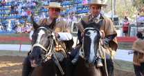 Figueroa y Villarroel también lograron su boleto a Rancagua en las yeguas Figueroa y Villarroel también lograron su boleto a Rancagua en las yeguas