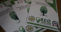 Asociación Cardenal Caro está realizando el primer clasificatorio sustentable Asociación Cardenal Caro está realizando el primer clasificatorio sustentable