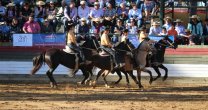 Escuadra Ecuestre Femenina de Marchigüe tuvo aplaudida presentación Escuadra Ecuestre Femenina de Marchigüe tuvo aplaudida presentación
