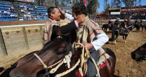 Rafael Toro concretó su sueño y el Oña Laura competirá en Rancagua Rafael Toro concretó su sueño y el Oña Laura competirá en Rancagua