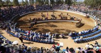 Organizadores del Clasificatorio en Marchigüe: La idea es seguir haciendo grandes eventos Organizadores del Clasificatorio en Marchigüe: La idea es seguir haciendo grandes eventos