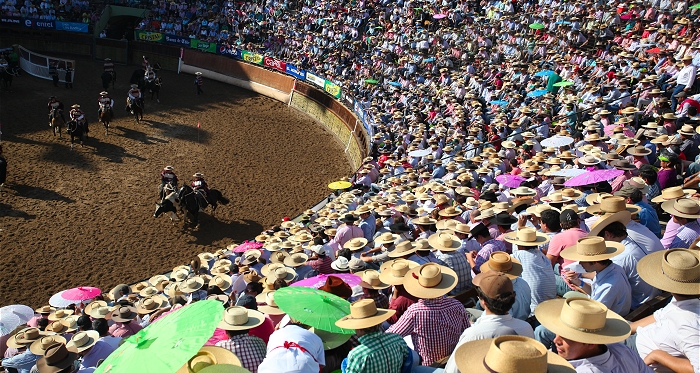 El programa oficial del 71° Campeonato Nacional de Rodeo