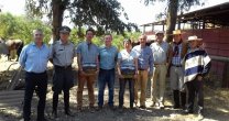 Delegación francesa apreció bondades morfológicas y funcionales del Caballo Chileno Delegación francesa apreció bondades morfológicas y funcionales del Caballo Chileno
