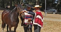 Corraleros de Ferocam también muestran sus capacidades como criadores Corraleros de Ferocam también muestran sus capacidades como criadores
