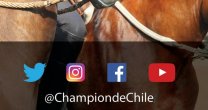 Concurso: Gana entradas para el 71° Campeonato Nacional de Rodeo en redes sociales Concurso: Gana entradas para el 71° Campeonato Nacional de Rodeo en redes sociales