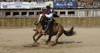 Luis Eduardo Cortés y su tricampeonato: La Palmeña es una yegua digna de admirar Luis Eduardo Cortés y su tricampeonato: La Palmeña es una yegua digna de admirar