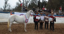 Ferocam realizará exposición con gran respaldo de la Federación de Criadores Ferocam realizará exposición con gran respaldo de la Federación de Criadores