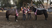Remojado y Risueña se llevaron los máximos honores en la Expo Ñuble Remojado y Risueña se llevaron los máximos honores en la Expo Ñuble