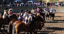 Corraleras se aprontan para disputar la X Final de Rodeos Promocionales Femeninos Corraleras se aprontan para disputar la X Final de Rodeos Promocionales Femeninos