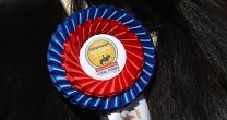 Serrano-Vial, Herrera-Guerrero y Sepúlveda-Albornoz disfrutaron del cuarto toro en el Nacional Universitario Serrano-Vial, Herrera-Guerrero y Sepúlveda-Albornoz disfrutaron del cuarto toro en el Nacional Universitario