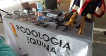 Criadores de Casablanca y Melipilla afinan detalles para su Taller de Herraje Criadores de Casablanca y Melipilla afinan detalles para su Taller de Herraje