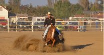 Rafael Balerini obtuvo el mayor puntaje en Copa Criadero Doña Olga de Orense Rafael Balerini obtuvo el mayor puntaje en Copa Criadero Doña Olga de Orense
