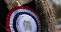 Luis Gutiérrez: En Arica y Tarapacá trabajamos por tener mejores rodeos Luis Gutiérrez: En Arica y Tarapacá trabajamos por tener mejores rodeos