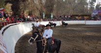El Día del Patrimonio se festejó con una linda fiesta huasa en Aculeo