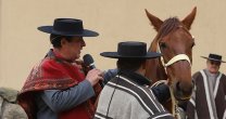 José Luis Pinochet: Quiero apoyar a nuestro caballo y al directorio de la Federación José Luis Pinochet: Quiero apoyar a nuestro caballo y al directorio de la Federación