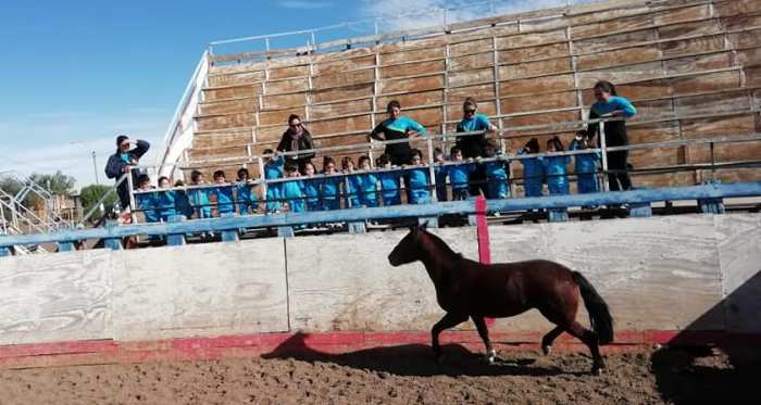 Club de Huasos Altos del Loa acercó el Rodeo a los más pequeños en Calama