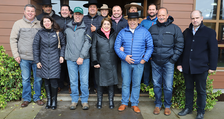 Criadores se aprontan en Villarrica para su reunión anual en beneficio del Caballo Chileno