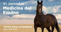 Universidad Andrés Bello acoge las VI Jornadas de Medicina del Equino