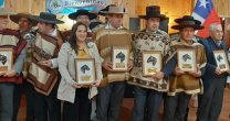 Javier Alvarez: Llegar a Rancagua en caballos criados es doble mérito Javier Alvarez: Llegar a Rancagua en caballos criados es doble mérito