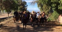 Asociación Limarí de Criadores realizó cabalgata junto al Club Camarico Asociación Limarí de Criadores realizó cabalgata junto al Club Camarico