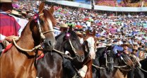 Un espectacular resumen del Campeonato Nacional de Rodeo 2019
