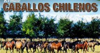 Criaderos Isabel Margarita, Palqui Nuevo y Don Remigio rematan en el Gil Letelier Criaderos Isabel Margarita, Palqui Nuevo y Don Remigio rematan en el Gil Letelier