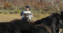 Cristián Concha fue reelecto como presidente de la Asociación de Rodeo Magallanes Cristián Concha fue reelecto como presidente de la Asociación de Rodeo Magallanes