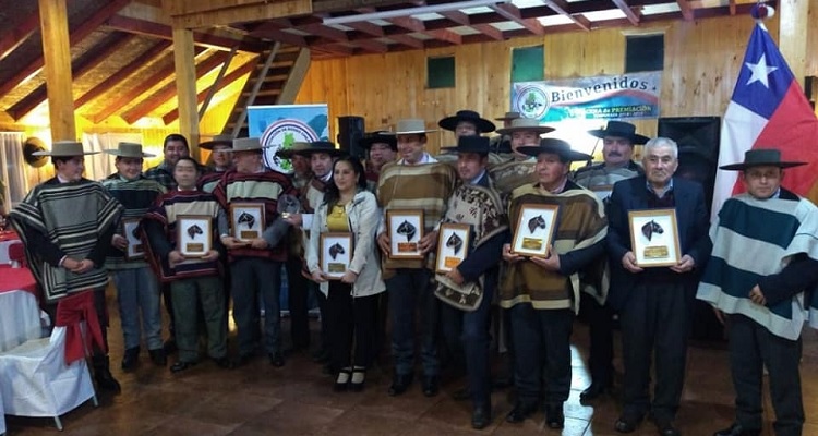 Pablo Trejos, Mejor Arreglador de Chiloé: 