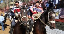 Vichiculén fue distinguido por segundo año consecutivo como el Mejor Criadero de la Asociación San Felipe Vichiculén fue distinguido por segundo año consecutivo como el Mejor Criadero de la Asociación San Felipe