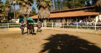 Gran Día Familiar del Criador se vivió en Criadero Santa Ana de Melipilla Gran Día Familiar del Criador se vivió en Criadero Santa Ana de Melipilla
